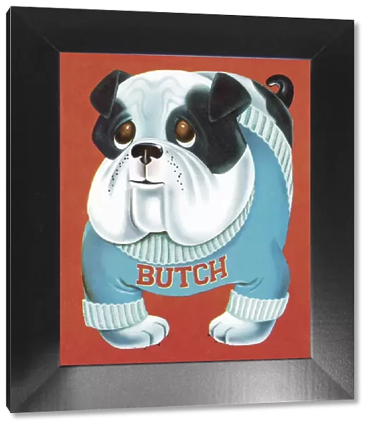 Butch the Bulldog