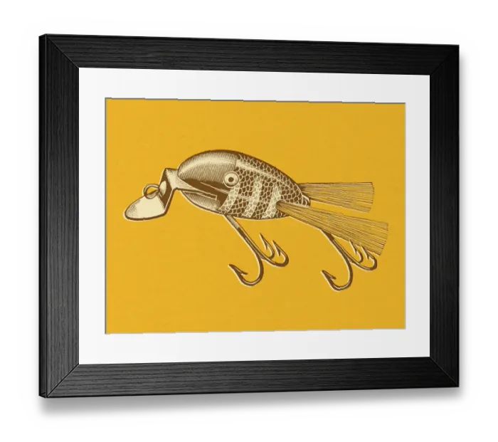 Framed Print : Fishing Lure Framed Print : Fishing Lure