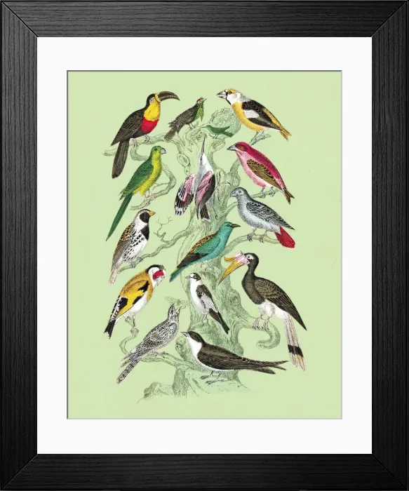 Framed Print : Tree Full of Birds Framed Print : Tree Full of Birds
