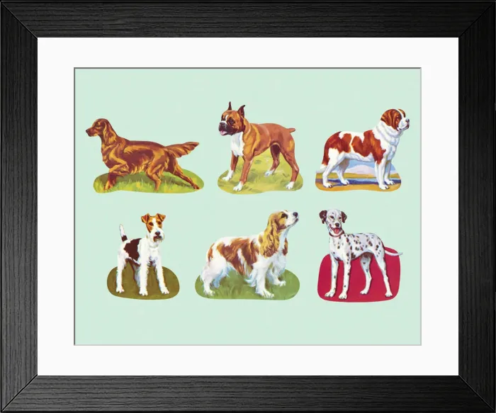 Framed Print : Variety of Dogs Framed Print : Variety of Dogs