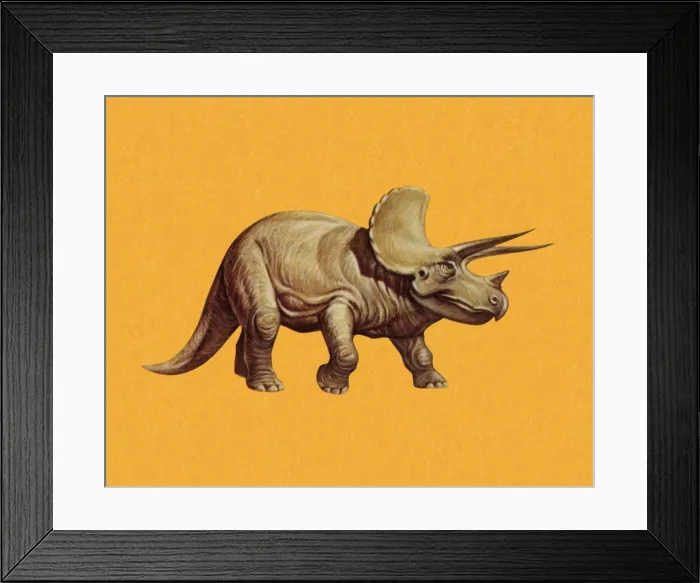 Framed Print : Triceratops Framed Print : Triceratops