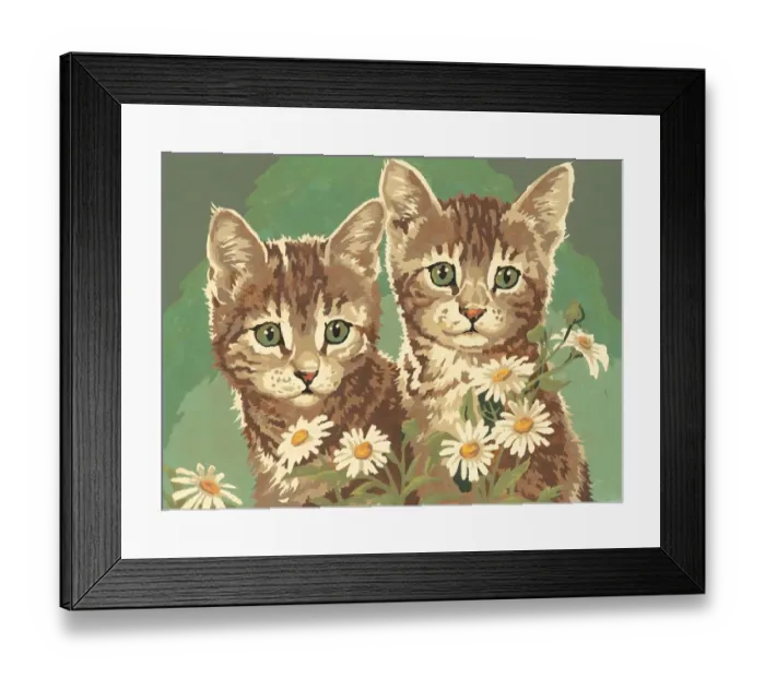 Framed Print : Two kittens Framed Print : Two kittens