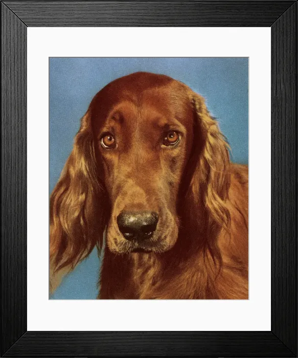 Framed Print : Dog. http: / / csaimages.com / images / istockprofile / csa_vector_dsp.jpg Framed Print : Dog. http: / / csaimages.com / images / istockprofile / csa_vector_dsp.jpg