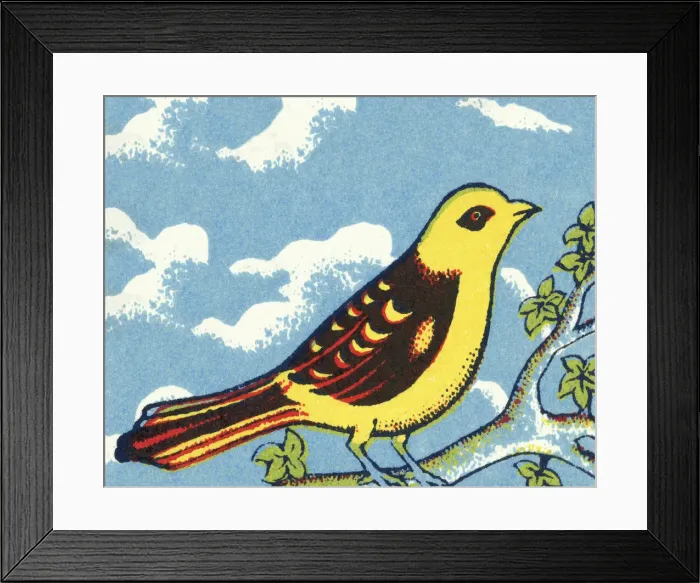 Framed Print : Yellow Bird Framed Print : Yellow Bird