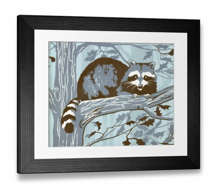 Framed Print : Raccoon in Tree Framed Print : Raccoon in Tree