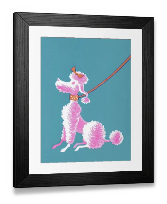 Framed Print : Pink Poodle Sitting Framed Print : Pink Poodle Sitting