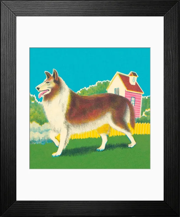 Framed Print : Collie. http: / / csaimages.com / images / istockprofile / csa_vector_dsp.jpg Framed Print : Collie. http: / / csaimages.com / images / istockprofile / csa_vector_dsp.jpg