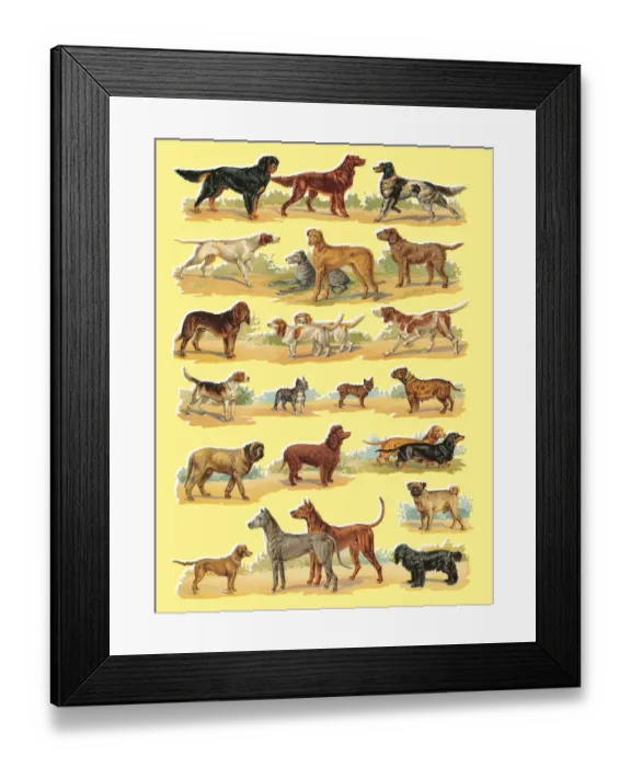 Framed Print : Dogs. http: / / csaimages.com / images / istockprofile / csa_vector_dsp.jpg Framed Print : Dogs. http: / / csaimages.com / images / istockprofile / csa_vector_dsp.jpg