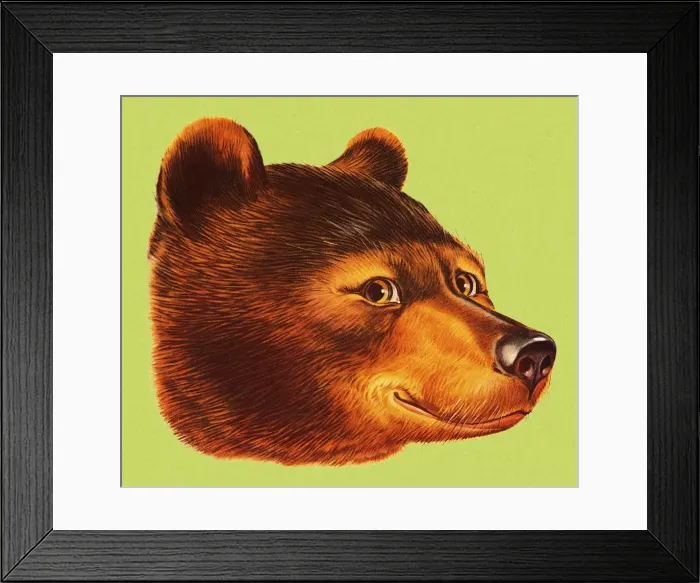 Framed Print : Smiling Bear Framed Print : Smiling Bear