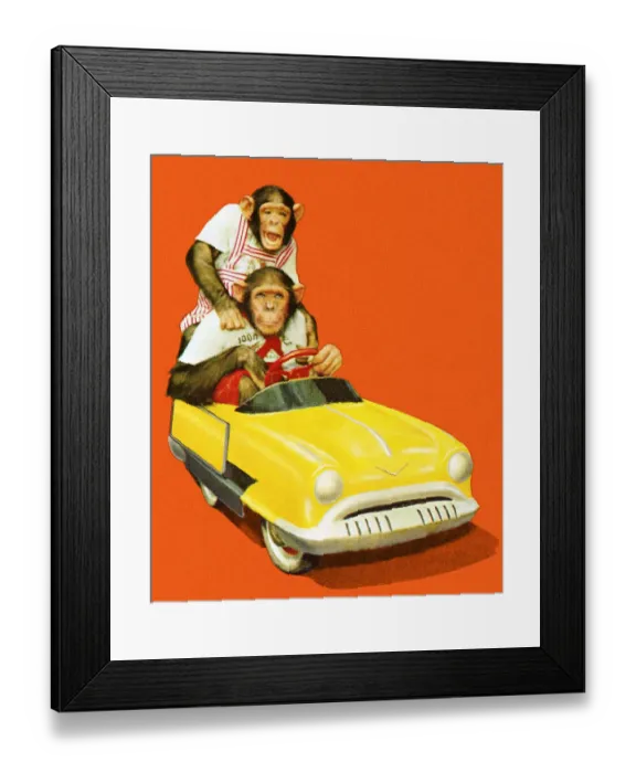 Framed Print : Two Chimpanzees Driving a Toy Car Framed Print : Two Chimpanzees Driving a Toy Car