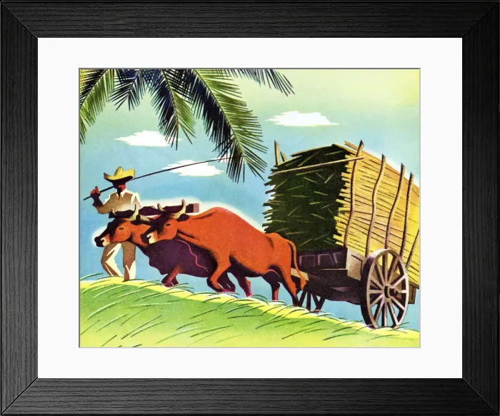 Framed Print : Farmer and Cattle Pulling a Cart Framed Print : Farmer and Cattle Pulling a Cart