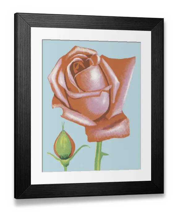 Framed Print : Pink Rose. http: / / csaimages.com / images / istockprofile / csa_vector_dsp.jpg Framed Print : Pink Rose. http: / / csaimages.com / images / istockprofile / csa_vector_dsp.jpg