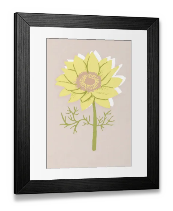 Framed Print : One Flower Framed Print : One Flower