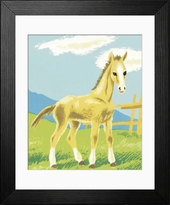 Framed Print : Foal. http: / / csaimages.com / images / istockprofile / csa_vector_dsp.jpg Framed Print : Foal. http: / / csaimages.com / images / istockprofile / csa_vector_dsp.jpg