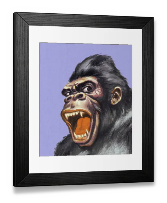 Framed Print : Roaring Gorilla Framed Print : Roaring Gorilla