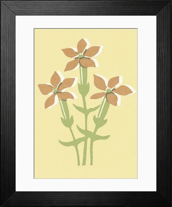 Framed Print : Three Flowers Framed Print : Three Flowers