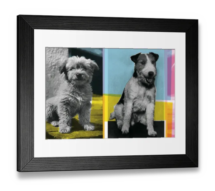 Framed Print : Dogs. http: / / csaimages.com / images / istockprofile / csa_vector_dsp.jpg Framed Print : Dogs. http: / / csaimages.com / images / istockprofile / csa_vector_dsp.jpg