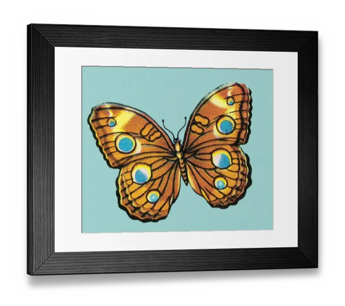 Framed Print : Butterfly. http: / / csaimages.com / images / istockprofile / csa_vector_dsp.jpg Framed Print : Butterfly. http: / / csaimages.com / images / istockprofile / csa_vector_dsp.jpg