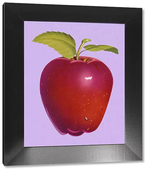 Red Apple. http: /  / csaimages.com / images / istockprofile / csa_vector_dsp.jpg