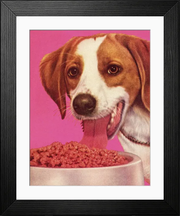 Framed Print : Dog Eating Dog Food Framed Print : Dog Eating Dog Food