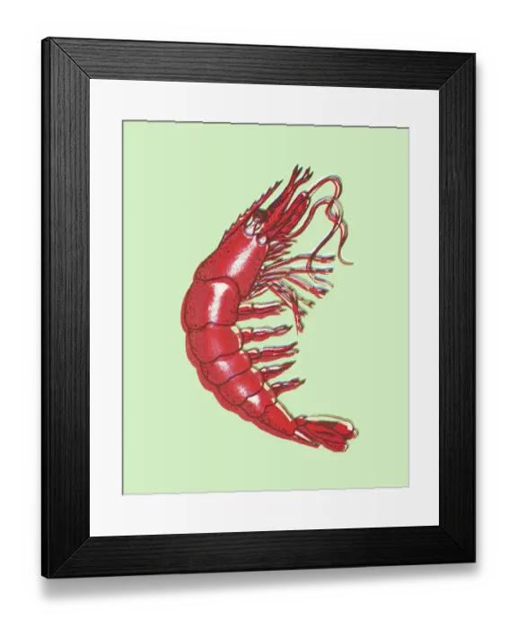 Framed Print : Shrimp. http: / / csaimages.com / images / istockprofile / csa_vector_dsp.jpg Framed Print : Shrimp. http: / / csaimages.com / images / istockprofile / csa_vector_dsp.jpg