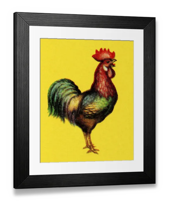 Framed Print : Rooster. http: / / csaimages.com / images / istockprofile / csa_vector_dsp.jpg Framed Print : Rooster. http: / / csaimages.com / images / istockprofile / csa_vector_dsp.jpg