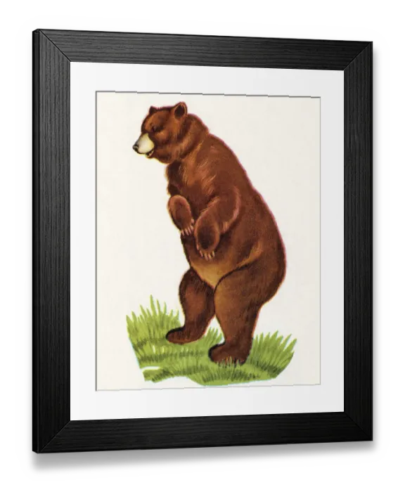 Framed Print : Bear Standing Up Framed Print : Bear Standing Up