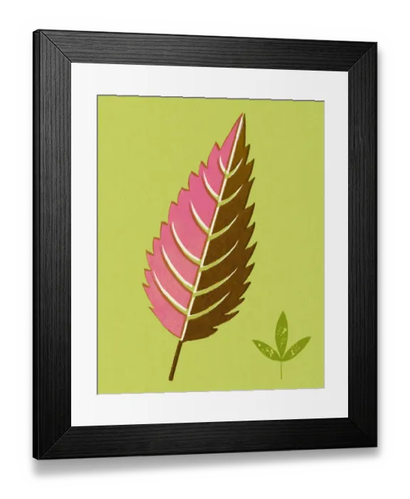 Framed Print : Two Leaves