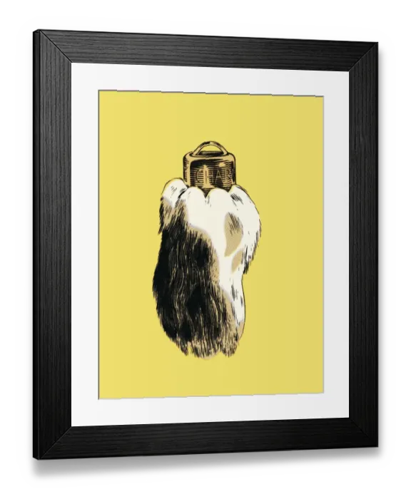 Framed Print : Rabbits foot