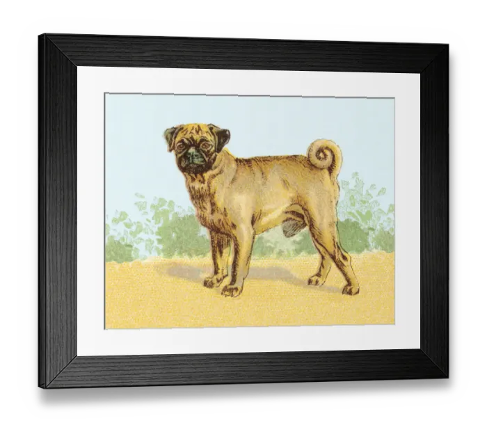 Framed Print : Dog. http: / / csaimages.com / images / istockprofile / csa_vector_dsp.jpg Framed Print : Dog. http: / / csaimages.com / images / istockprofile / csa_vector_dsp.jpg