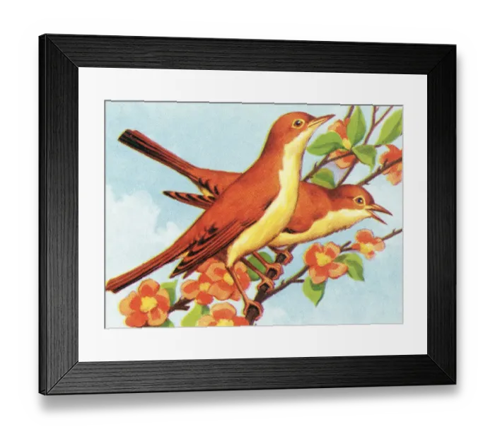Framed Print : Two birds. http: / / csaimages.com / images / istockprofile / csa_vector_dsp.jpg Framed Print : Two birds. http: / / csaimages.com / images / istockprofile / csa_vector_dsp.jpg