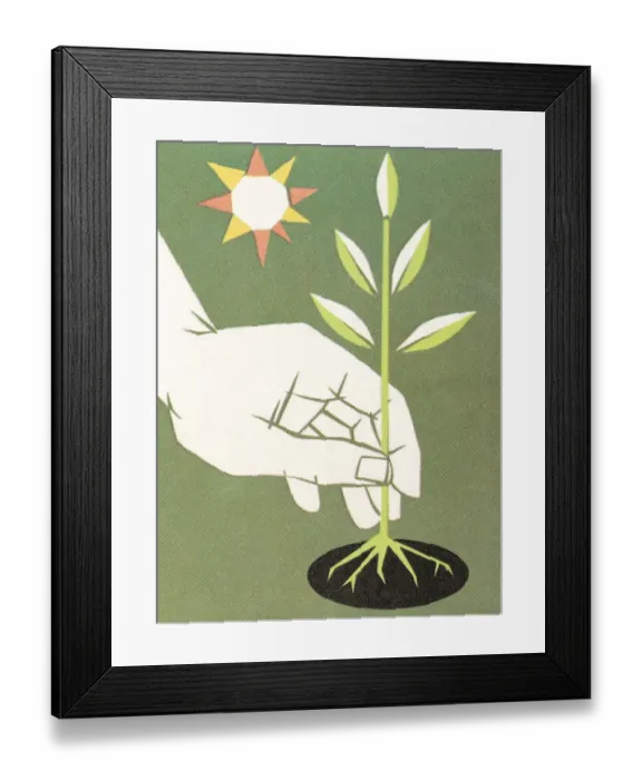 Framed Print : Planing a tree Framed Print : Planing a tree