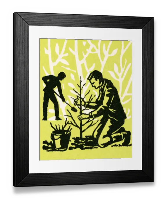 Framed Print : Planting a tree Framed Print : Planting a tree