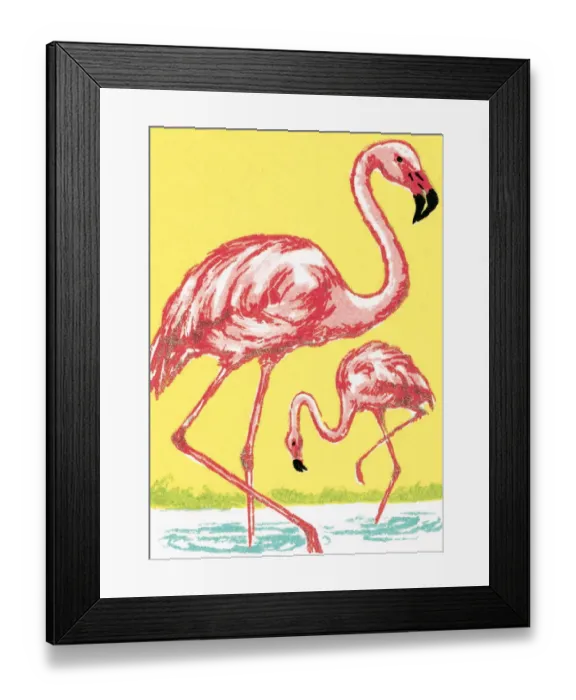 Framed Print : Flamingo. http: /  / csaimages.com / images / istockprofile / csa_vector_dsp.jpg