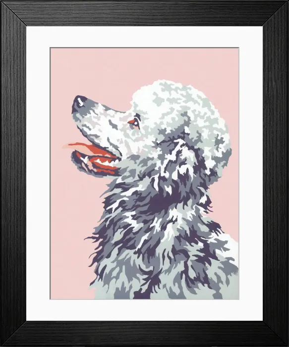 Framed Print : Poodle. http: / / csaimages.com / images / istockprofile / csa_vector_dsp.jpg Framed Print : Poodle. http: / / csaimages.com / images / istockprofile / csa_vector_dsp.jpg
