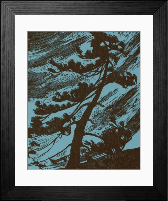 Framed Print : Pine Tree in the Wind Framed Print : Pine Tree in the Wind