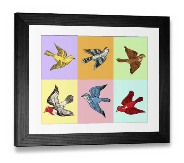 Framed Print : Various Birds in Squares Framed Print : Various Birds in Squares