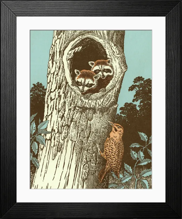 Framed Print : Raccoons and Bird Framed Print : Raccoons and Bird