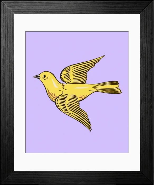 Framed Print : Yellow Bird Framed Print : Yellow Bird