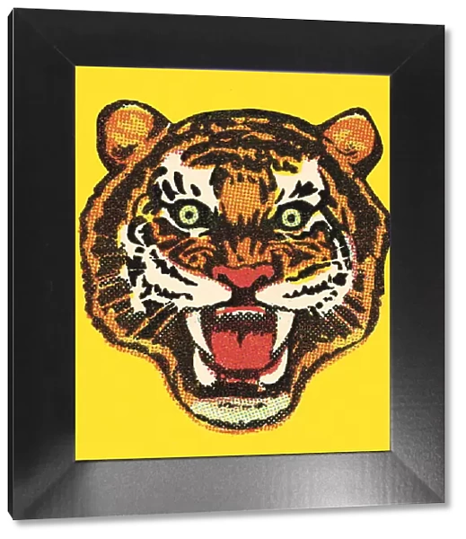 Tiger. http: /  / csaimages.com / images / istockprofile / csa_vector_dsp.jpg