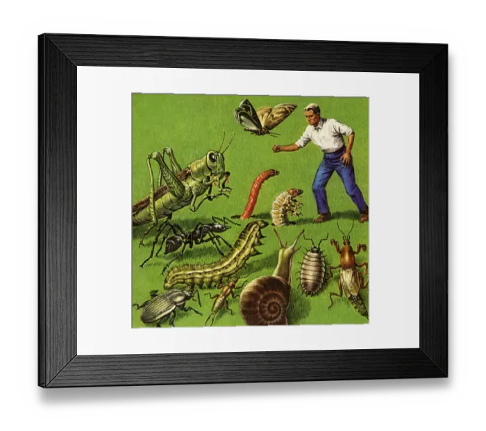 Framed Print : Man and Giants Bugs Framed Print : Man and Giants Bugs