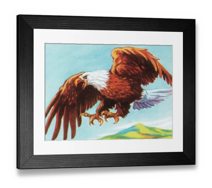 Framed Print : Eagle. http: / / csaimages.com / images / istockprofile / csa_vector_dsp.jpg Framed Print : Eagle. http: / / csaimages.com / images / istockprofile / csa_vector_dsp.jpg