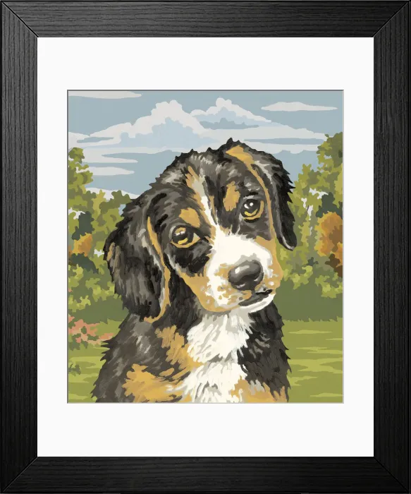 Framed Print : Cute Puppy Framed Print : Cute Puppy