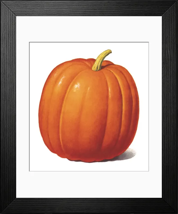 Framed Print : Pumpkin. http: / / csaimages.com / images / istockprofile / csa_vector_dsp.jpg Framed Print : Pumpkin. http: / / csaimages.com / images / istockprofile / csa_vector_dsp.jpg