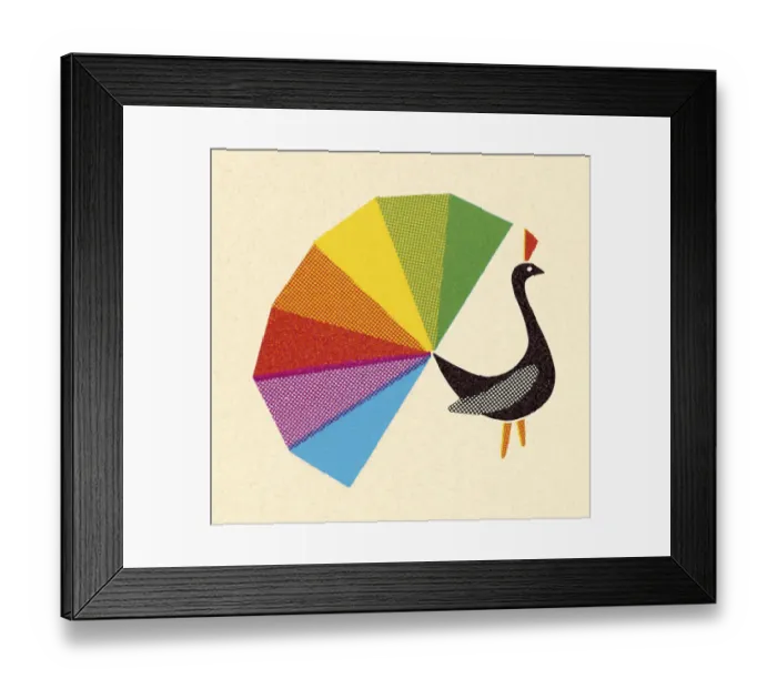 Framed Print : Peacock With Rainbow Tail Feathers