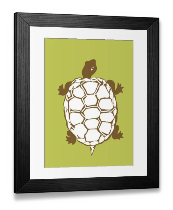 Framed Print : Color Turtle Framed Print : Color Turtle