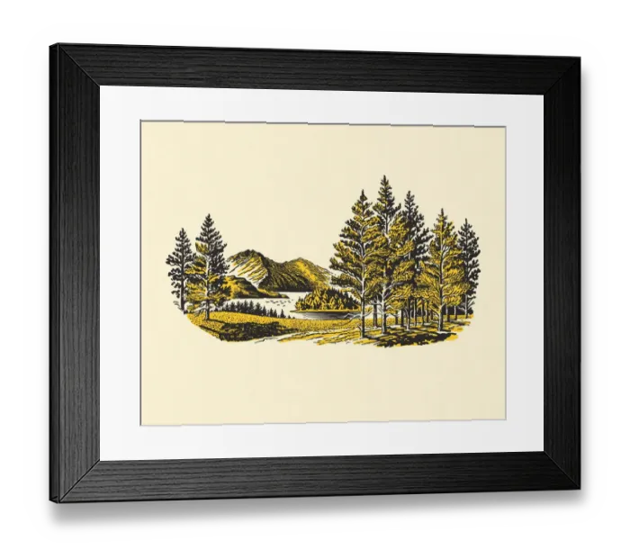 Framed Print : Wilderness Lake Framed Print : Wilderness Lake