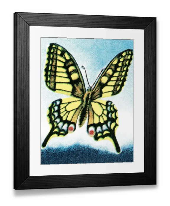 Framed Print : Butterfly. http: / / csaimages.com / images / istockprofile / csa_vector_dsp.jpg Framed Print : Butterfly. http: / / csaimages.com / images / istockprofile / csa_vector_dsp.jpg