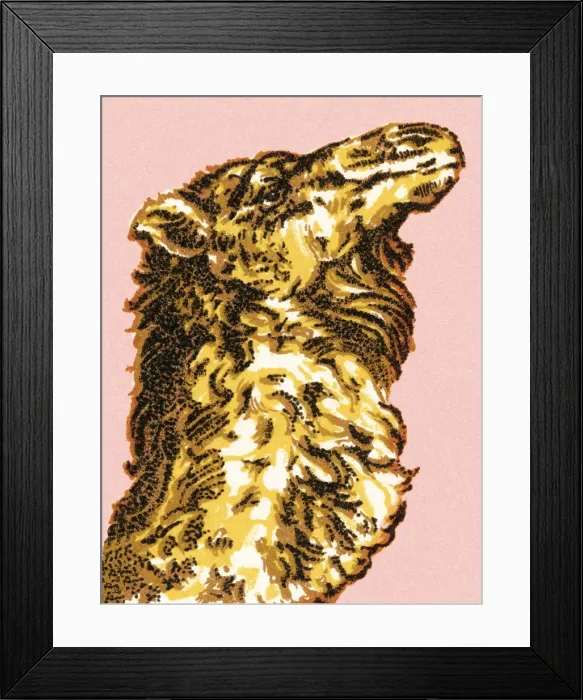 Framed Print : Camel. http: / / csaimages.com / images / istockprofile / csa_vector_dsp.jpg Framed Print : Camel. http: / / csaimages.com / images / istockprofile / csa_vector_dsp.jpg