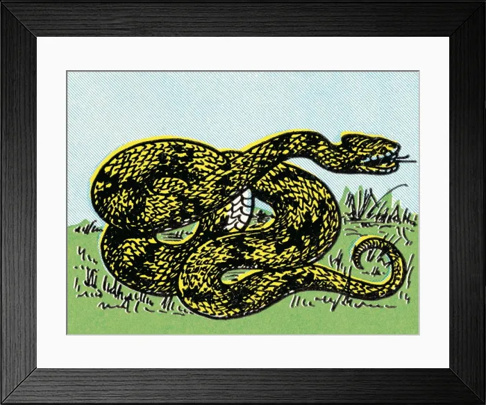Framed Print : Snake. http: / / csaimages.com / images / istockprofile / csa_vector_dsp.jpg Framed Print : Snake. http: / / csaimages.com / images / istockprofile / csa_vector_dsp.jpg
